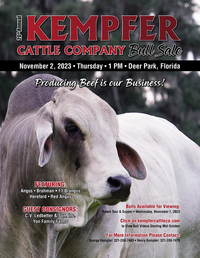 Multi-Breed Bull Sales | Kempfer Cattle Company