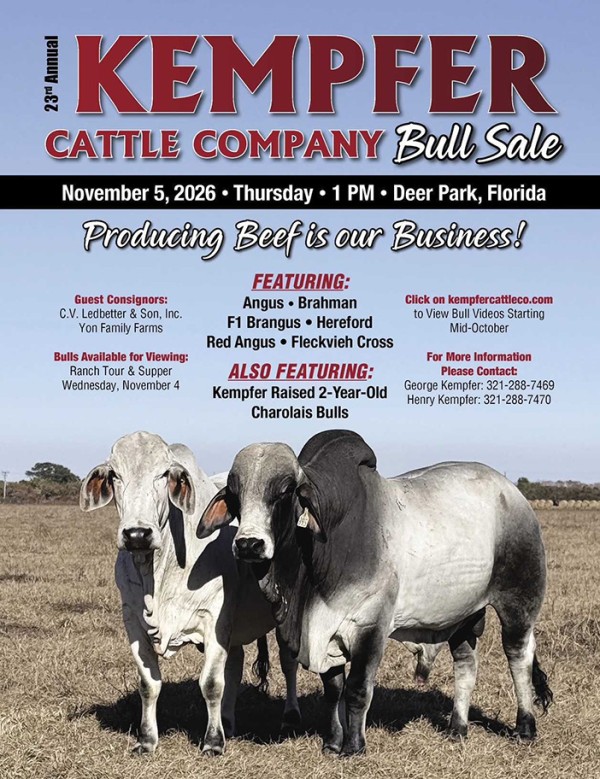2026 Bull Sale 2026 Bull Sale